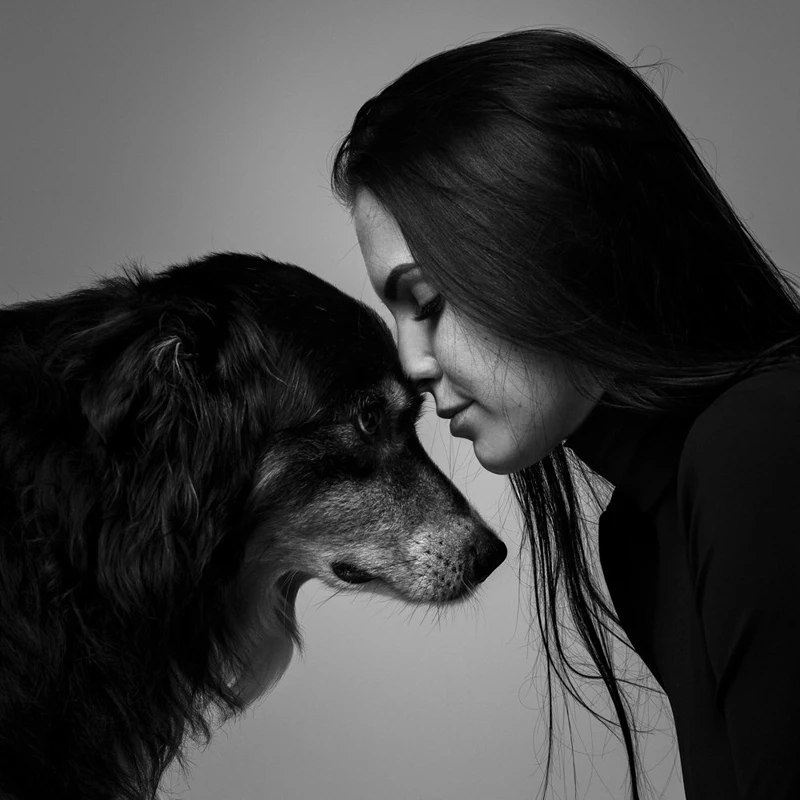 photographe-chiens-animaux-chat-strasbourg_styl-list-images_08